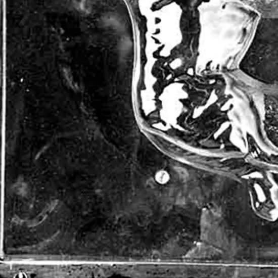 3D Collie Chocolate Mold {3}