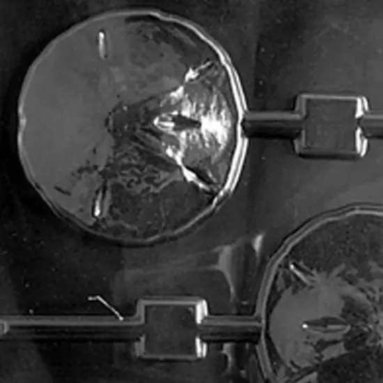 Sand Dollar Beach Party Chocolate Lollipop Mold {4}