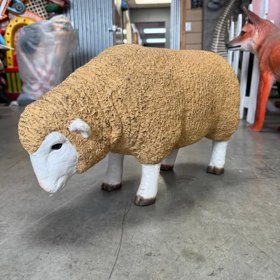 Baby Merino Ewe Head Down Life Size Statue {4}