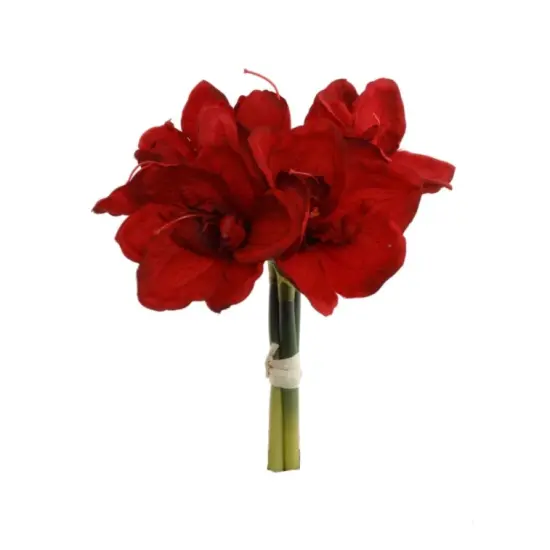 12.5" Amaryllis Bouquet - 3 PACK {2}