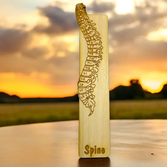 Bookmark - Spine Anatomy - Birch wood {2}