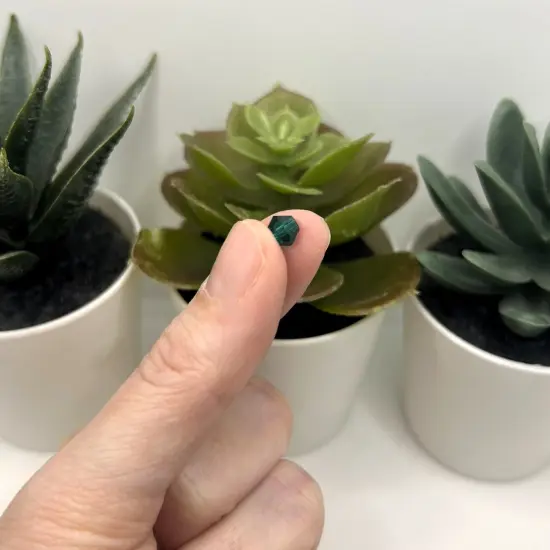 1 or 4 Strands 6x6mm Sea Green Bicone Beads, Imitation Crystal, Grade AA {2}