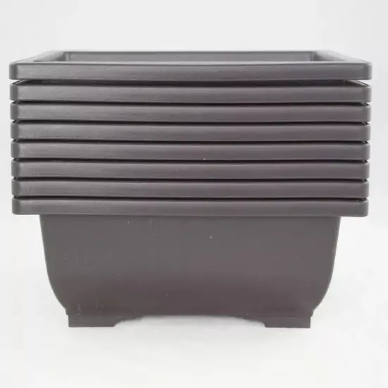 Rectangular Plastic Cactus & Succulent, Bonsai Training Pot - 10"x 7.5"x 3" {4}