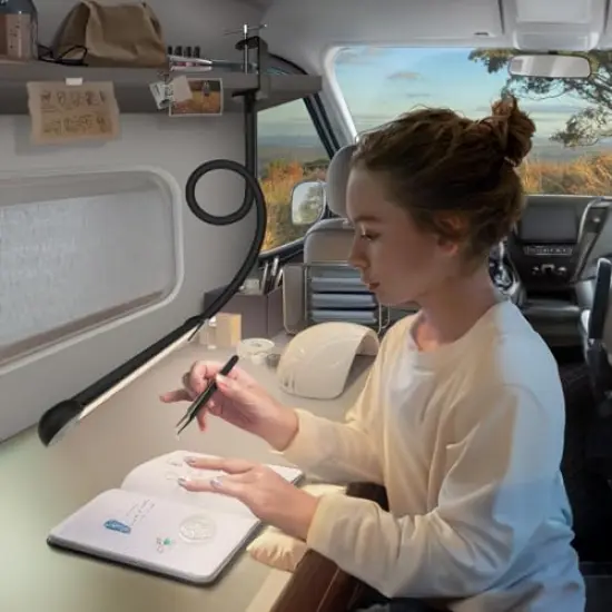 LED Desk Lamp with Clamp, Clamp Light with 30 Adjustable Color Modes, Clip on Light with Long Flexible Gooseneck, Eye Care Lamp Clamp for Study, Work, Home, Office, Black, 12W {6}