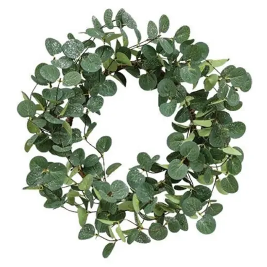 Snowy Silver Dollar Leaves Wreath 20" {1}