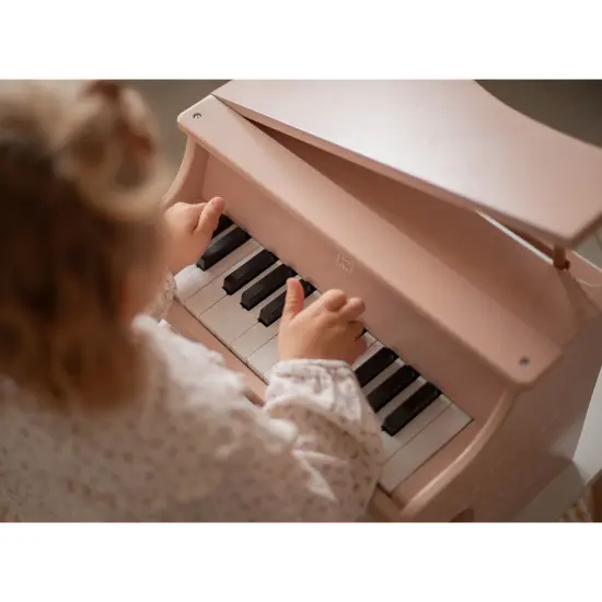 Label Label: Wooden Piano - Pink - Musical Instrument Toy, Dragonfly & Nature Design, 15 White-10 Black Keys, Closing Lid, 16.5 x 12.5 x 16", Kids 3+ {4}