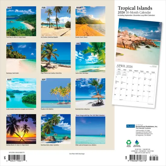 Tropical Islands | 2026 12 x 24 Inch (Hanging) Monthly Square Wall Calendar | Foil Stamped Cover {2}