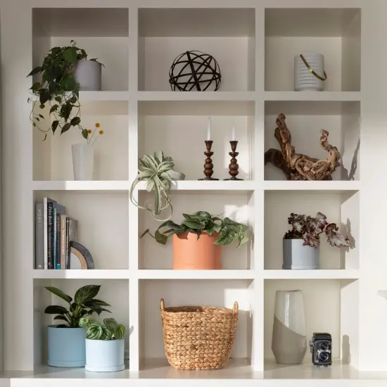 Bloem Mathers Planter w/ Saucer Tray10" Misty Blue {7}