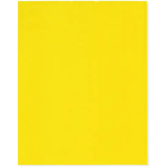 Plymor 8" x 10", Yellow 2 Mil Flat Open Plastic Poly Bags {1}