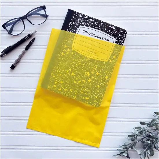 Plymor 9" x 12", Yellow 2 Mil Flat Open Plastic Poly Bags {4}