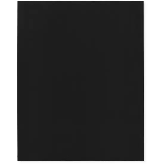 Plymor 8" x 10", Black 2 Mil Flat Open Plastic Poly Bags {1}