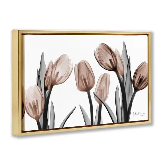 Stupell Industries Mocha & Discovery Tulips Floating Frame By Albert Koetsier {3}