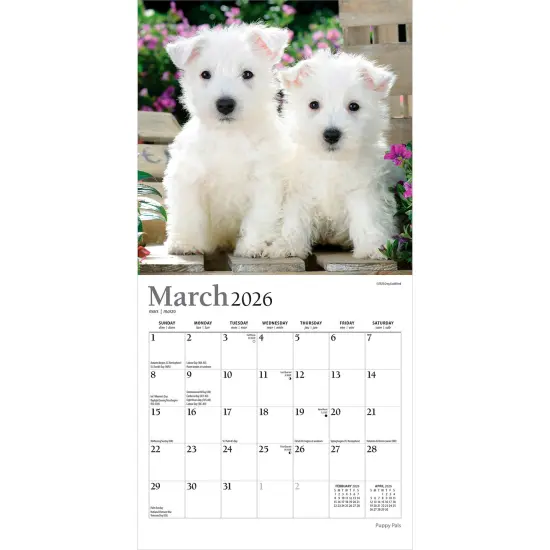 Puppy Pals | 2026 7 x 14 Inch (Hanging) Monthly Mini Wall Calendar | Foil Stamped Cover {3}