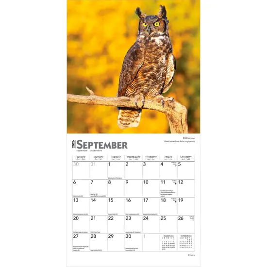 Owls | 2026 7 x 14 Inch (Hanging) Monthly Mini Wall Calendar {4}