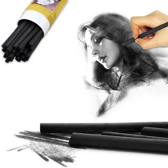 25 Pcs Charcoal Pencils,Vine Charcoal,Black Artist Vine Charcoal Willow Charcoal Sticks The Art of Drawing and Painting for Artists, Beginners, and Students(4-5mm) {1}