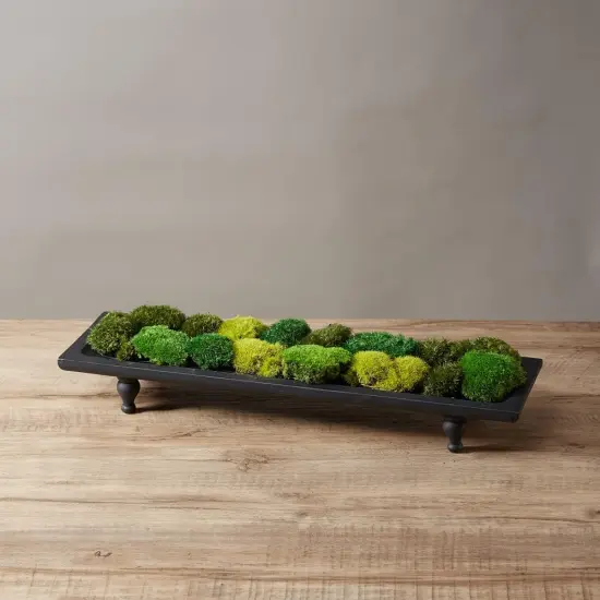 Moss No Bowl 4 Color Mix Pack Preserved Pole Moss Pillow Bun Cushion Natural Decorative DIY Kit Art Wall Florist Easter Decor {1}