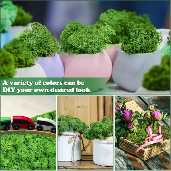 Moss Preserved 21.2 oz Green Preserved Reindeer Moss Bulk Artificial Decorative DIY Kit for Craft Wall Decor Fairy Gardens Terrariums Art Project Table Floral Decor {5}