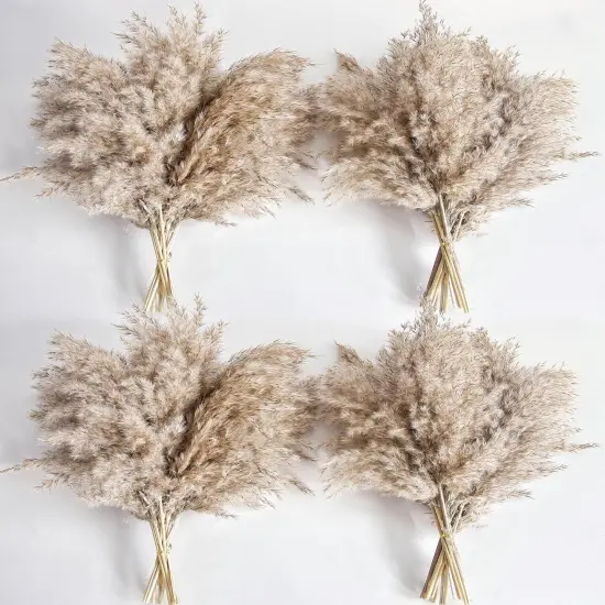 40 PCS Nature Pampas Grass Bouquet {1}