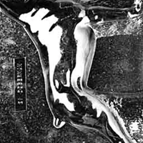 Jumbo Doberman Chocolate Mold {3}