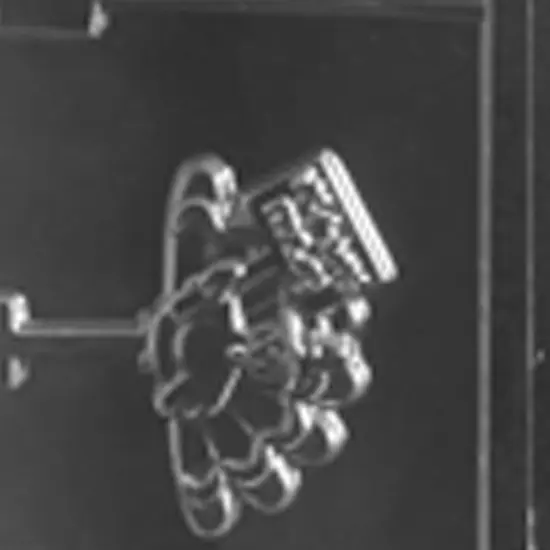 Funny Turkey Sayings Lolly Chocolate Mold {3}