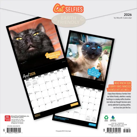 Cat Selfies | 2026 12 x 24 Inch (Hanging) Monthly Square Wall Calendar | Plastic-Free {2}
