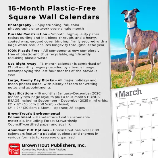 Greyhounds | 2026 12 x 24 Inch (Hanging) Monthly Square Wall Calendar | Plastic-Free {6}