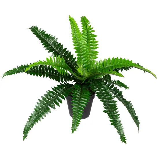 Northlight Potted Artificial Long Green Boston Fern Plant - 15.75" {6}