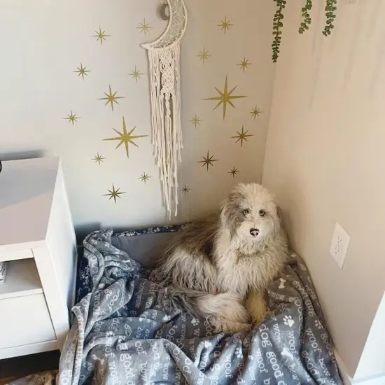 Large Star Stencil for Painting Reusable Paint Stencils(Small Twink {2}