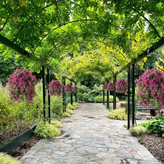 Artificial Hanging Flowers in Basket for Summer Outdoor Porch Decoration,UV Resistant Fake Silk Violet in Planter Realistic for Outside Home Patio Balcony Garden Yard Decor {3}