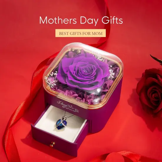 Preserved Real Purple Rose {2}