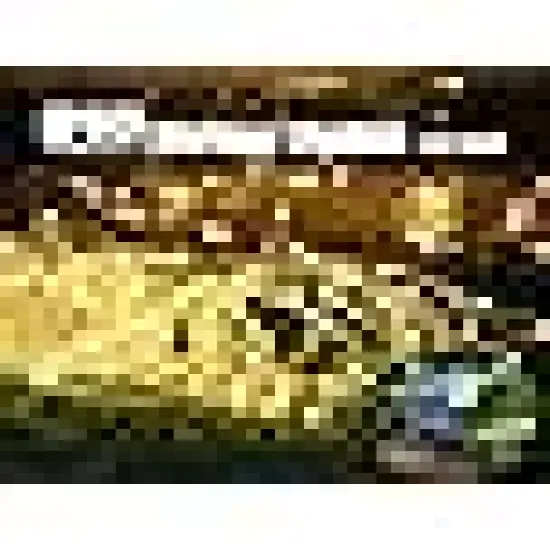 Christmas Halloween Holiday Tree Decoration Lighting {4}