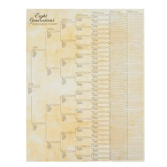 15 Pack Family Tree Charts to Fill In - Blank 8 Generation Genealogy Poster for Family History, Lineage, Reunions, Large Pedigree Ancestry Organizer (255 Total Name Spaces, 17x22 in) Brown {1}