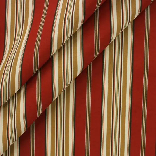 Richloom Solarium CAPULET STRIPE Outdoor/Indoor Fabric Pompei {1}