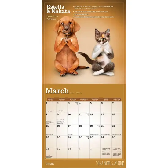 Yoga Puppies & Kittens Together OFFICIAL | 2026 7 x 14 Inch (Hanging) Monthly Mini Wall Calendar {3}