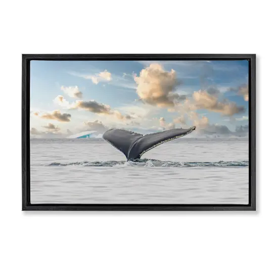 Stupell Industries Antarctica Whale Tail Floating Frame, design by Richard Silver {1}