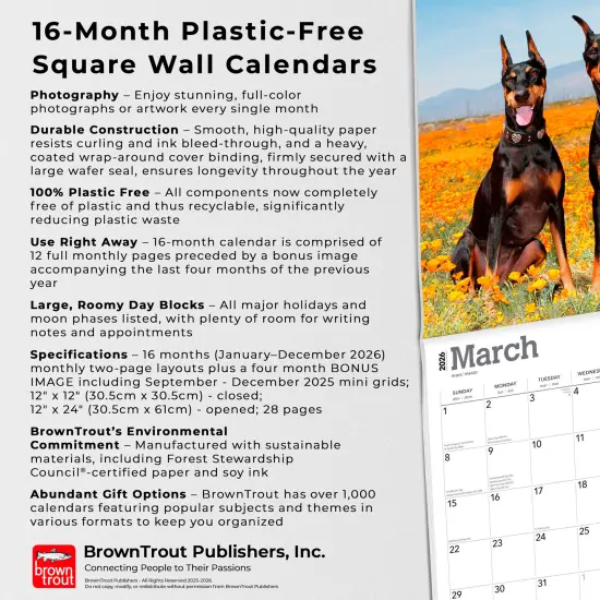 Dobermans | 2026 12 x 24 Inch (Hanging) Monthly Square Wall Calendar | Plastic-Free {6}