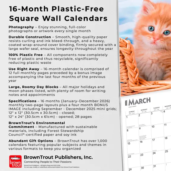 Ginger Cats | 2026 12 x 24 Inch (Hanging) Monthly Square Wall Calendar | Plastic-Free {6}