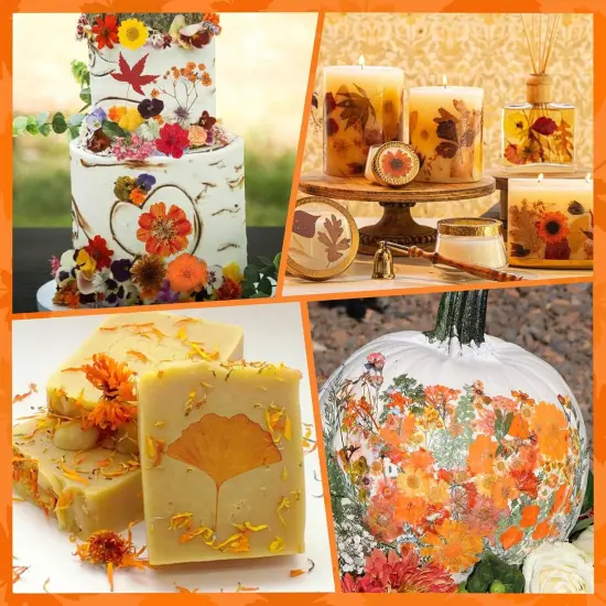 78 Pcs Fall Dried Pressed Flowers -Brown, Yellow {3}