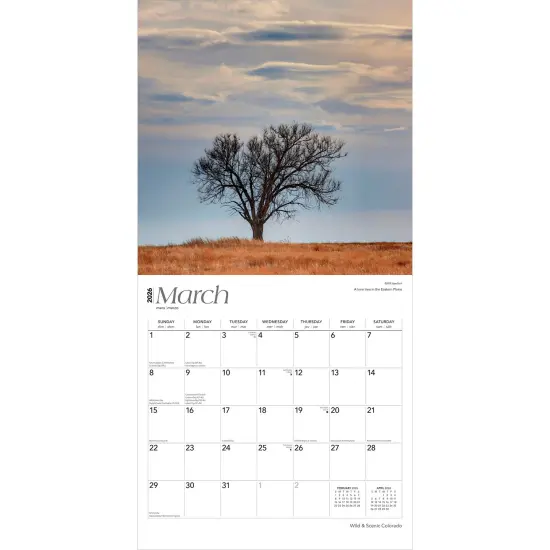Colorado Wild & Scenic | 2026 12 x 24 Inch (Hanging) Monthly Square Wall Calendar | Plastic-Free {3}