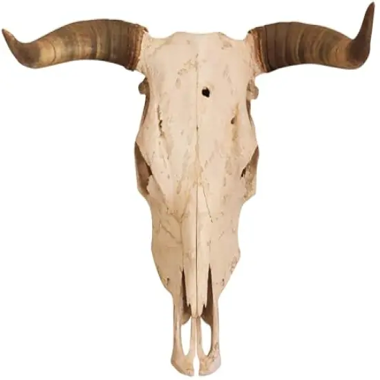 Longhorn Skull Edible Icing Sheets- Assorted Image Cake Toppers-Frosting Sheets- Cookies- Cupcake Toppers {1}