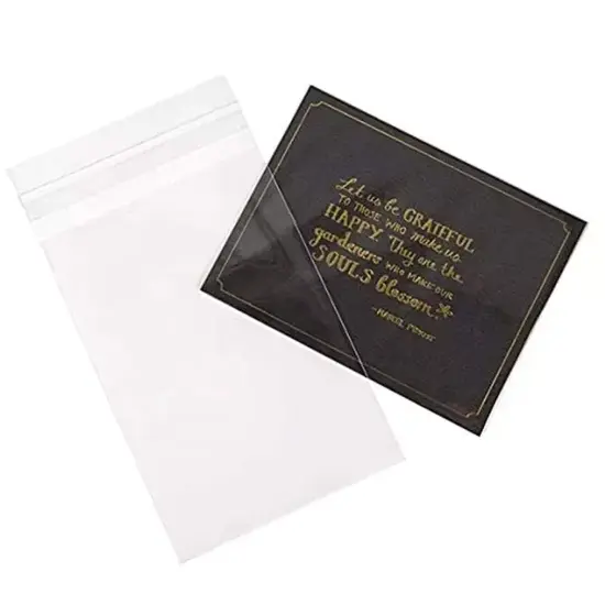 Poly Self-Sealing Bags with Tape Lip 1.2 Mil 9'' x 12'' {2}