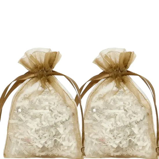 Organza Drawstring Bags 6&rdquo; x 9&rdquo; for Little Favors {6}