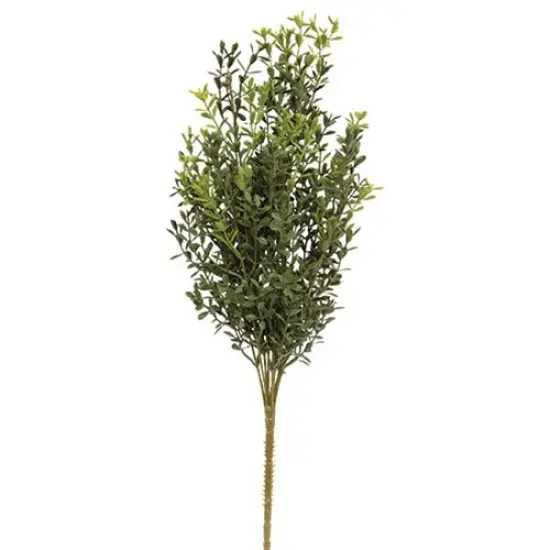 19" Green New England Boxwood Bush with Plastic Stem Suitable for Any Decor {2}
