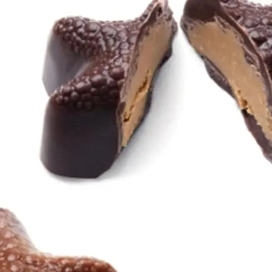 Seashell Continental Chocolate Mold {4}