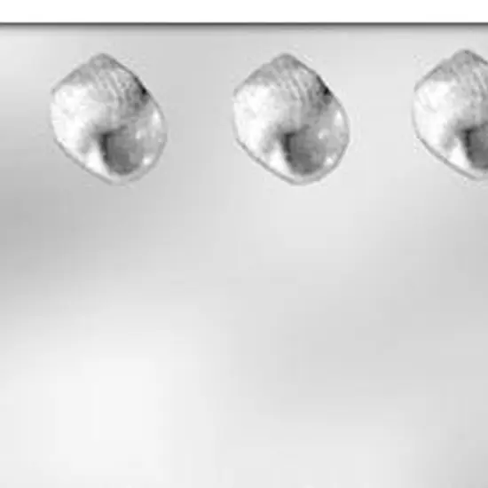 3D Seashell Chocolate Mold for Crafting Edible Treats {3}