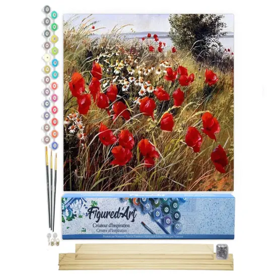 Figured'Art Paint by Numbers Kit for Adults Wild flowers in the countryside 16"x20" - Craft Art Painting Rolled Canvas with DIY wooden frame {1}