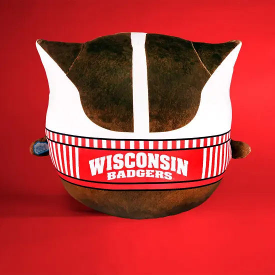 Sleep Squad Wisconsin Badgers Bucky Badger 12" Mascot Kiri Cloud Plushie {2}
