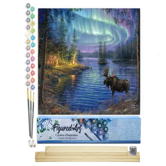 Figured'Art Paint by Numbers for Adults Moose and aurora borealis 16"x20" - Craft Art Painting Rolled Canvas with DIY wooden frame {1}