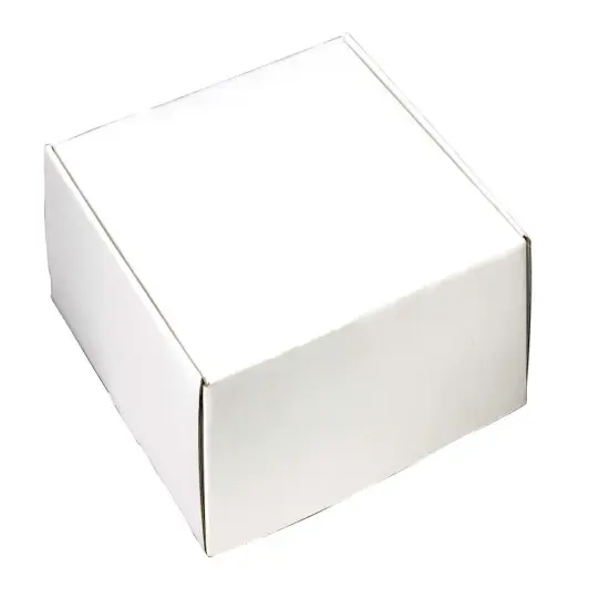 Pack/6: White Decorative Mailer - 12 x 12 x 3" {1}