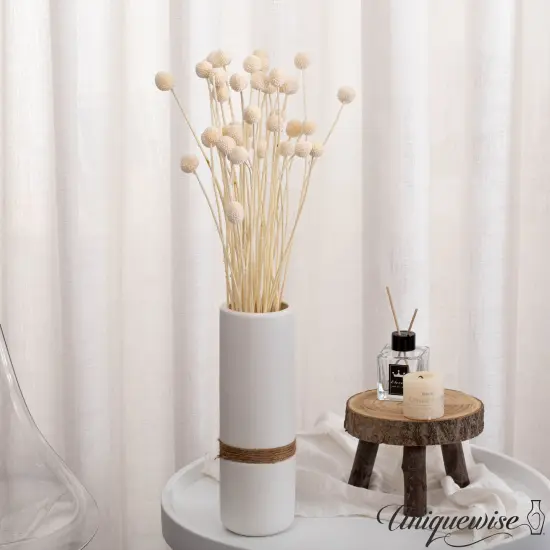 Uniquewise Preserved Real Floral Stems Chic Vase Fillers & Accents for Bouquets Centerpieces & Ornamental Displays Ideal for Home Office Boutique Cafe Resto Bar and Event Decor Ow billy buttons {2}